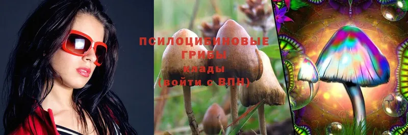 кракен онион  Бабушкин  Галлюциногенные грибы Psilocybine cubensis 